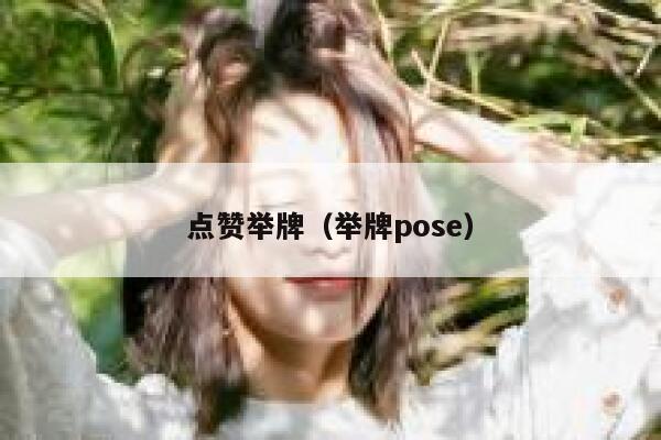 点赞举牌（举牌pose）