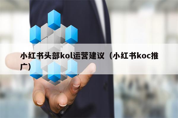 小红书头部kol运营建议（小红书koc推广）