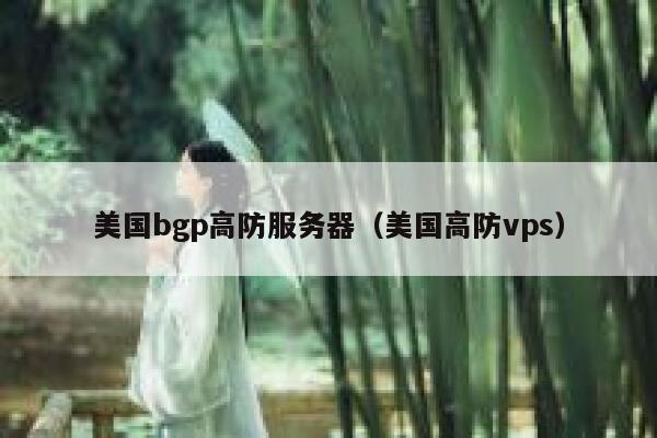 美国bgp高防服务器（美国高防vps）