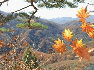 济南生活号运营岗位（济南生活网招聘信息）