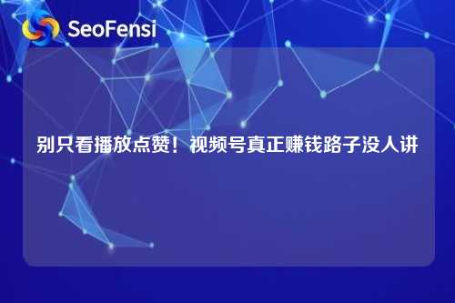 别只看播放点赞！视频号真正赚钱路子没人讲