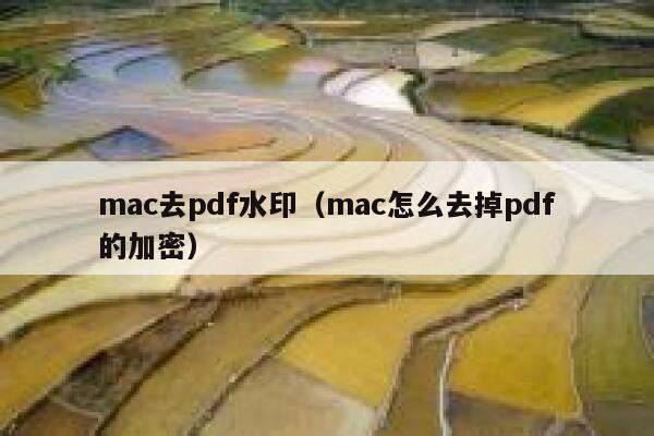 mac去pdf水印（mac怎么去掉pdf的加密）