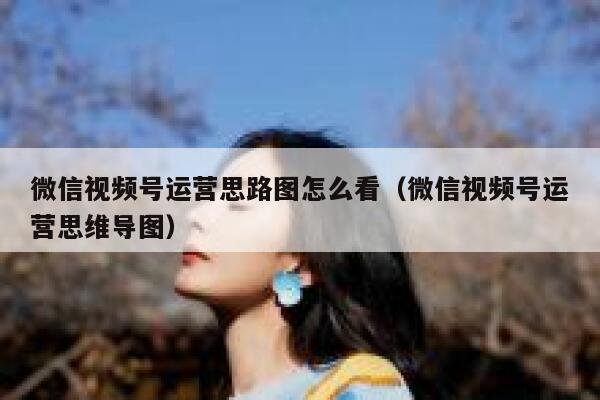 微信视频号运营思路图怎么看（微信视频号运营思维导图）