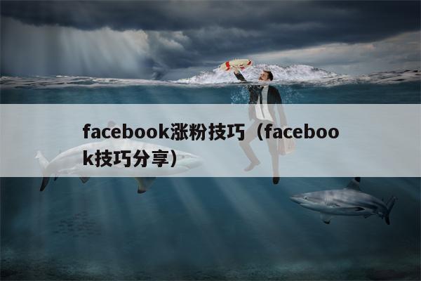 facebook涨粉技巧（facebook技巧分享）