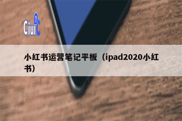 小红书运营笔记平板（ipad2020小红书）