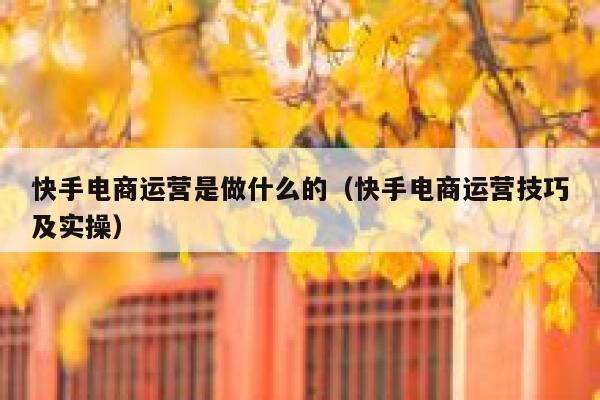 快手电商运营是做什么的（快手电商运营技巧及实操）