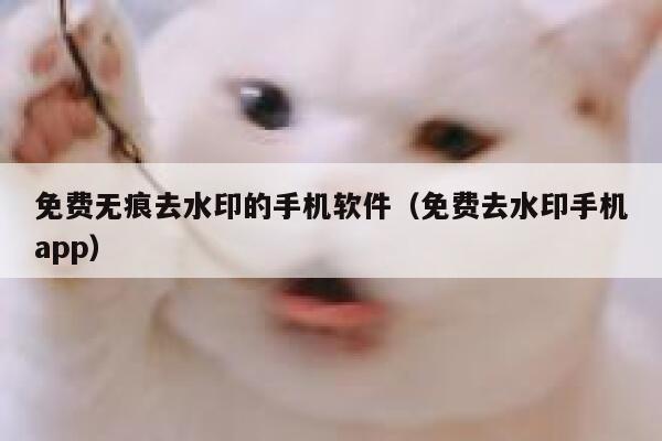 免费无痕去水印的手机软件（免费去水印手机app）