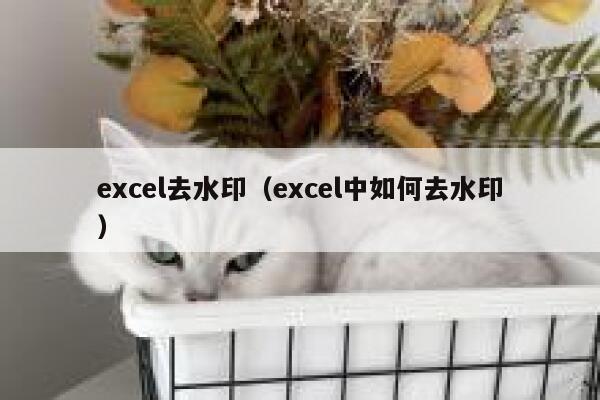 excel去水印（excel中如何去水印）