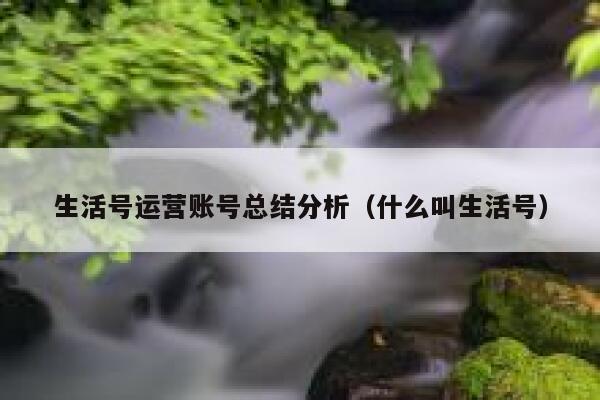 生活号运营账号总结分析（什么叫生活号）