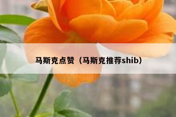 马斯克点赞（马斯克推荐shib）