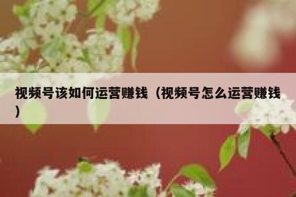 视频号该如何运营赚钱（视频号怎么运营赚钱）