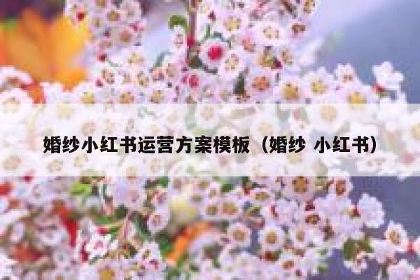 婚纱小红书运营方案模板（婚纱 小红书）