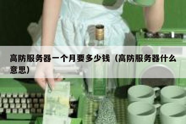 高防服务器一个月要多少钱（高防服务器什么意思）