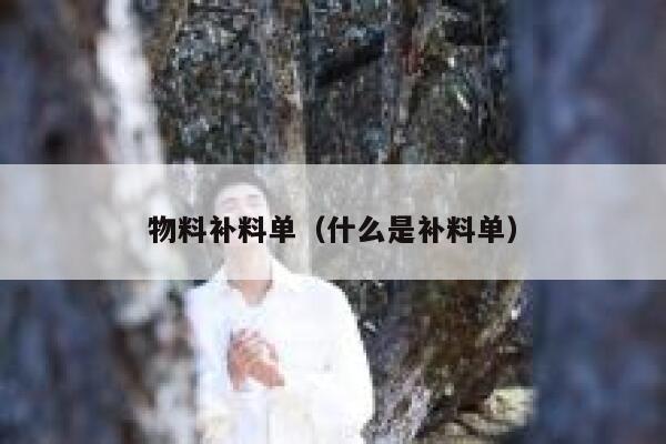 物料补料单（什么是补料单）