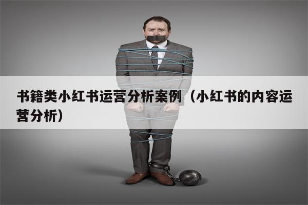 书籍类小红书运营分析案例（小红书的内容运营分析）