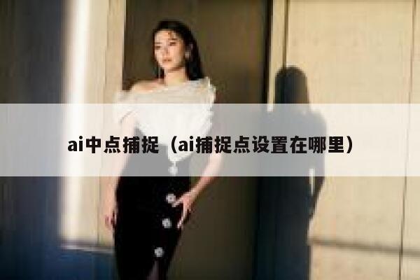 ai中点捕捉（ai捕捉点设置在哪里）