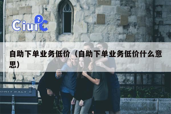 自助下单业务低价（自助下单业务低价什么意思）