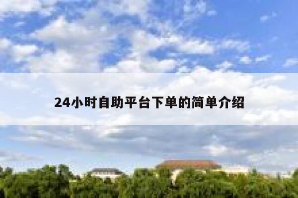 24小时自助平台下单的简单介绍