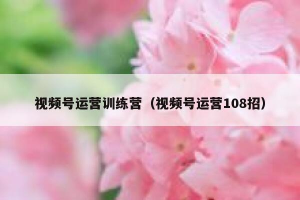 视频号运营训练营（视频号运营108招）