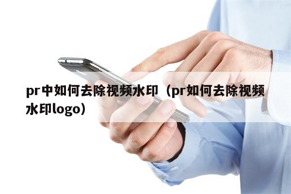 pr中如何去除视频水印（pr如何去除视频水印logo）