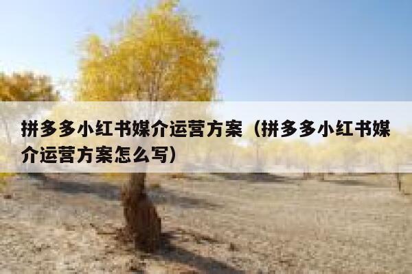 拼多多小红书媒介运营方案（拼多多小红书媒介运营方案怎么写）