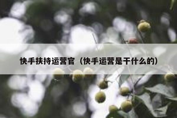 快手扶持运营官（快手运营是干什么的）