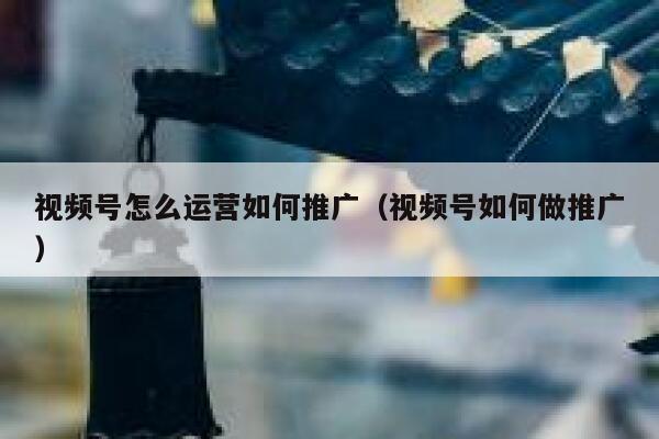 视频号怎么运营如何推广（视频号如何做推广）