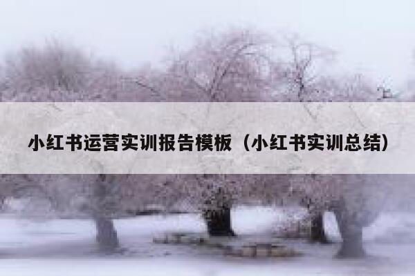 小红书运营实训报告模板（小红书实训总结）