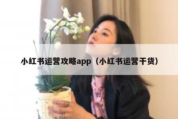 小红书运营攻略app（小红书运营干货）