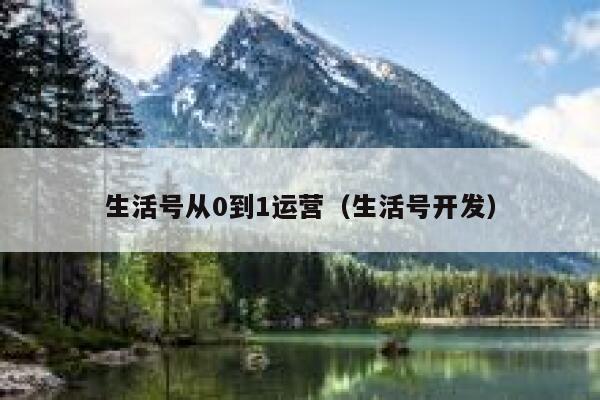 生活号从0到1运营（生活号开发）