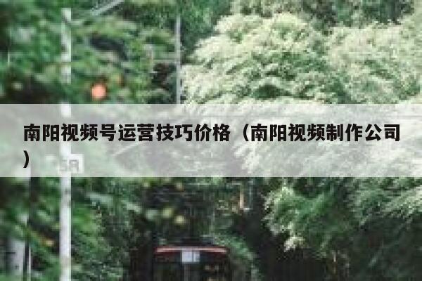 南阳视频号运营技巧价格（南阳视频制作公司）