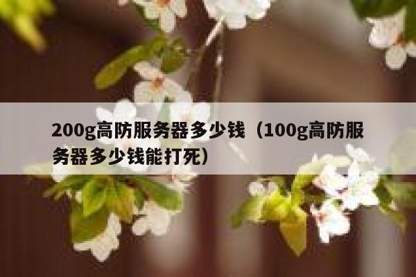 200g高防服务器多少钱（100g高防服务器多少钱能打死）