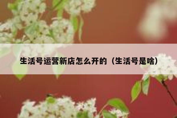 生活号运营新店怎么开的（生活号是啥）