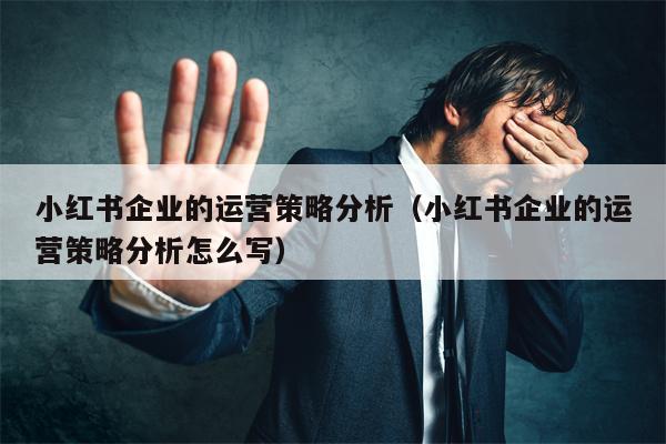 小红书企业的运营策略分析（小红书企业的运营策略分析怎么写）