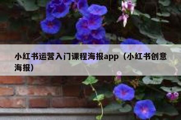 小红书运营入门课程海报app（小红书创意海报）