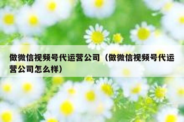 做微信视频号代运营公司（做微信视频号代运营公司怎么样）