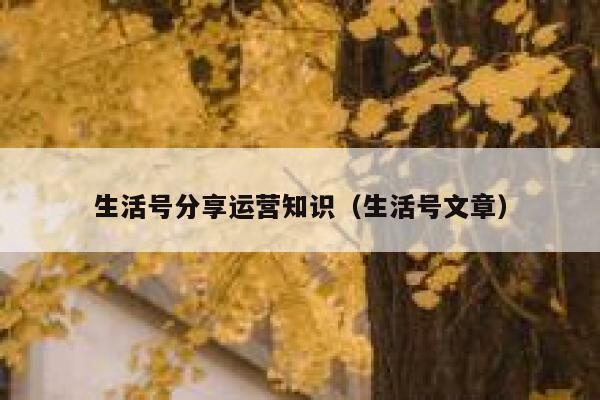 生活号分享运营知识（生活号文章）