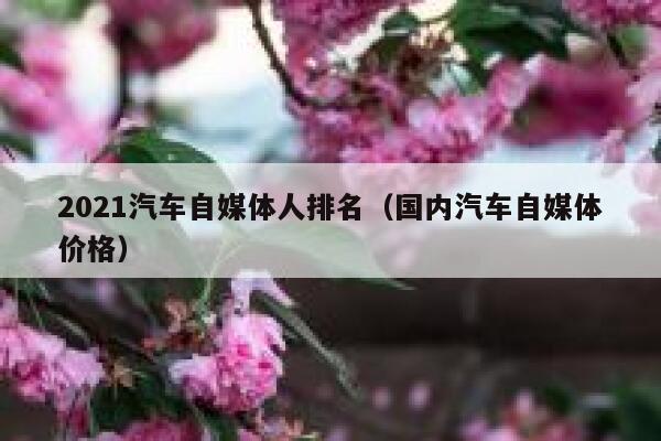 2021汽车自媒体人排名（国内汽车自媒体价格）