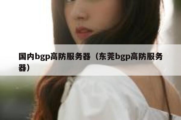 国内bgp高防服务器（东莞bgp高防服务器）