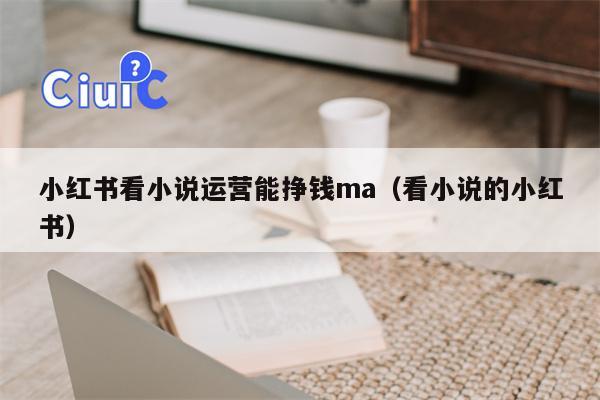 小红书看小说运营能挣钱ma（看小说的小红书）