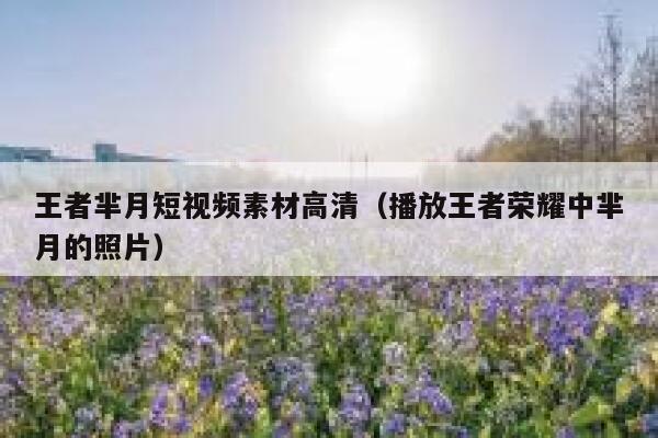 王者芈月短视频素材高清（播放王者荣耀中芈月的照片）