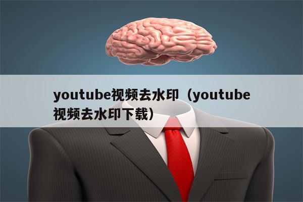 youtube视频去水印（youtube视频去水印下载）