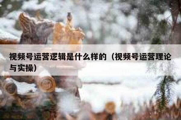 视频号运营逻辑是什么样的（视频号运营理论与实操）