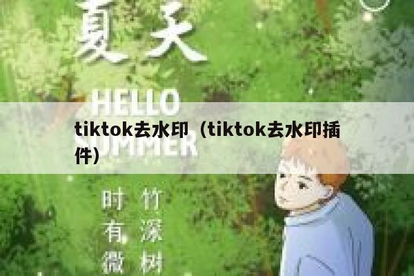 tiktok去水印（tiktok去水印插件）