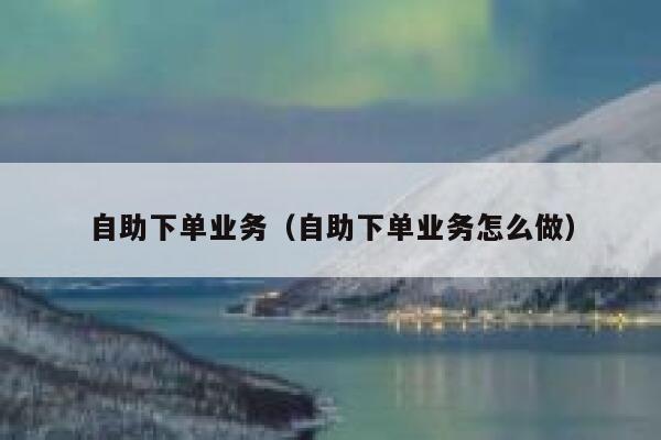 自助下单业务（自助下单业务怎么做）