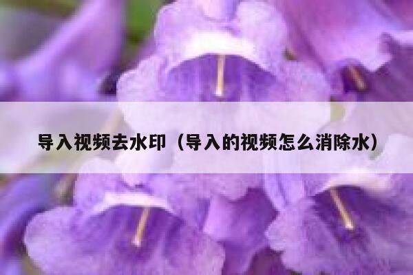 导入视频去水印（导入的视频怎么消除水）