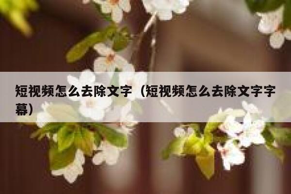 短视频怎么去除文字（短视频怎么去除文字字幕）