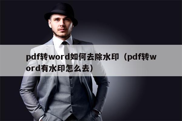 pdf转word如何去除水印（pdf转word有水印怎么去）