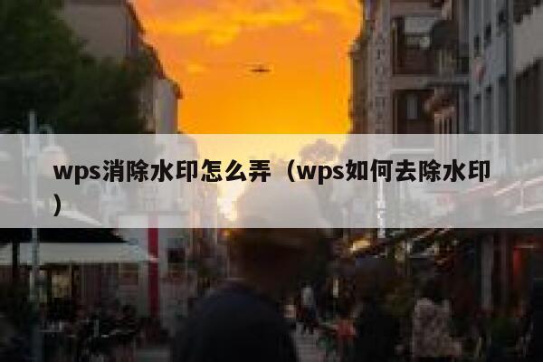 wps消除水印怎么弄（wps如何去除水印）