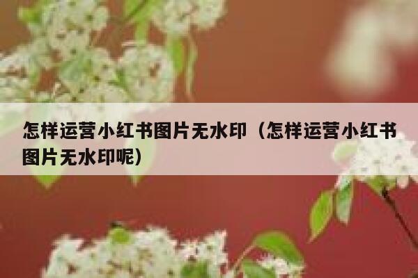 怎样运营小红书图片无水印（怎样运营小红书图片无水印呢）